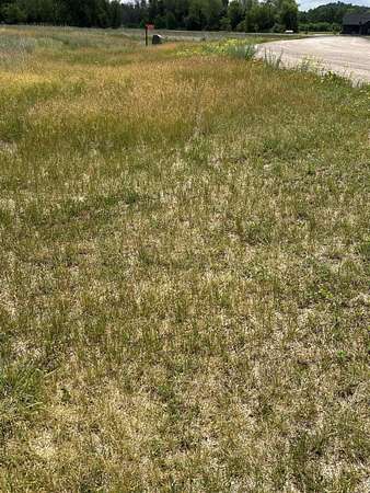 2.17 Acres of Residential Land for Sale in Sparta, Wisconsin