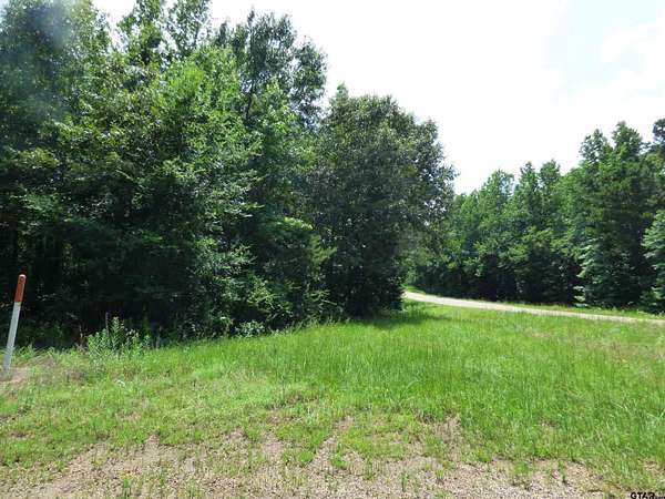 2 Acres of Residential Land for Sale in Pittsburg, Texas