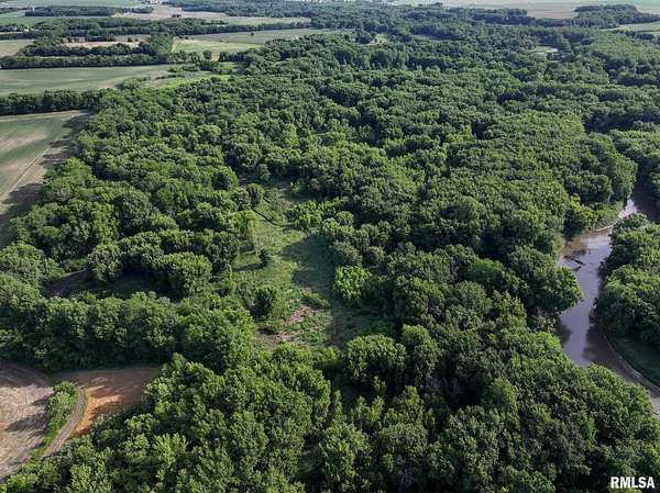 109 Acres of Land for Sale in New Boston, Illinois