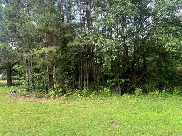 0.18 Acres of Land for Sale in Mena, Arkansas