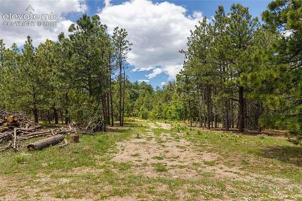 35 Acres of Recreational Land for Sale in Beulah, Colorado