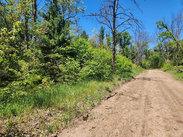 2 Acres of Residential Land for Sale in Baldwin, Michigan