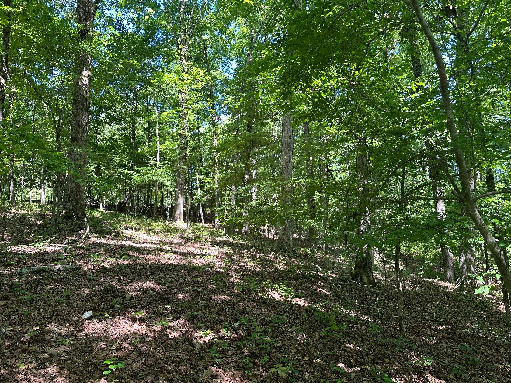 19 Acres of Improved Land for Sale in Benton, Arkansas