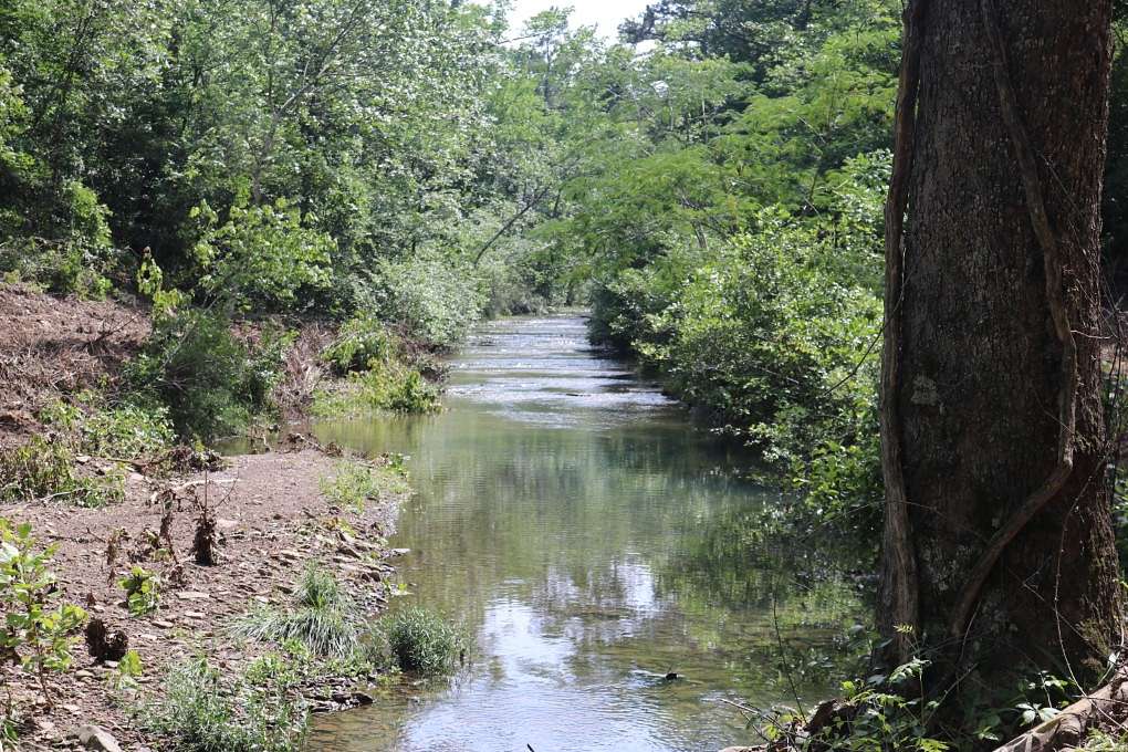 79.6 Acres of Land for Sale in Dennard, Arkansas