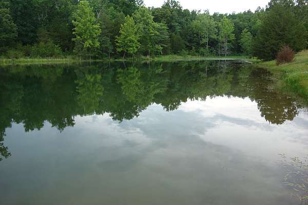 87 Acres of Land for Sale in Winona, Missouri
