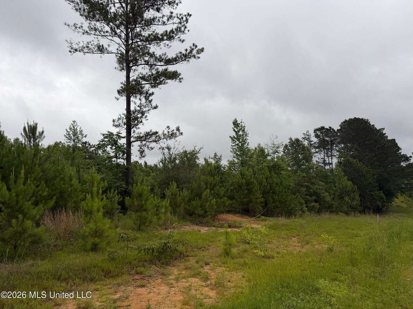 1.58 Acres of Residential Land for Sale in Summit, Mississippi