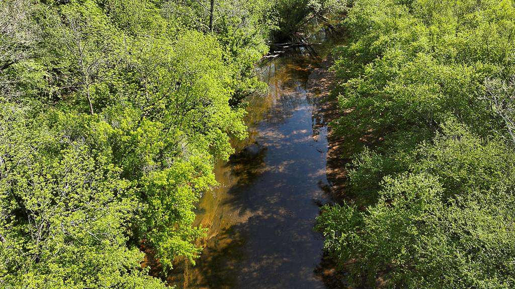 11.5 Acres of Land for Sale in Amherst, Virginia