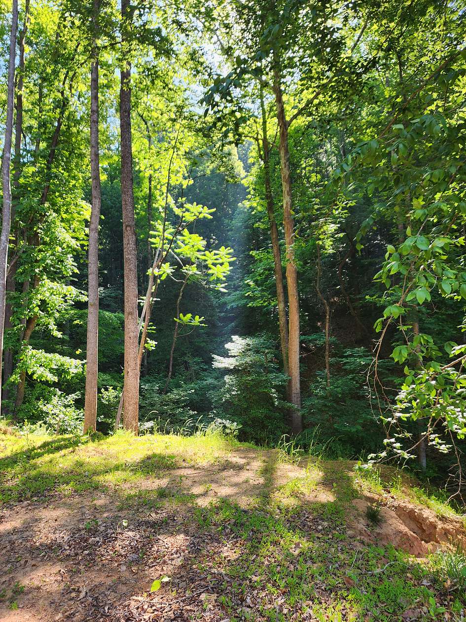 8.1 Acres of Land for Sale in Taylorsville, North Carolina