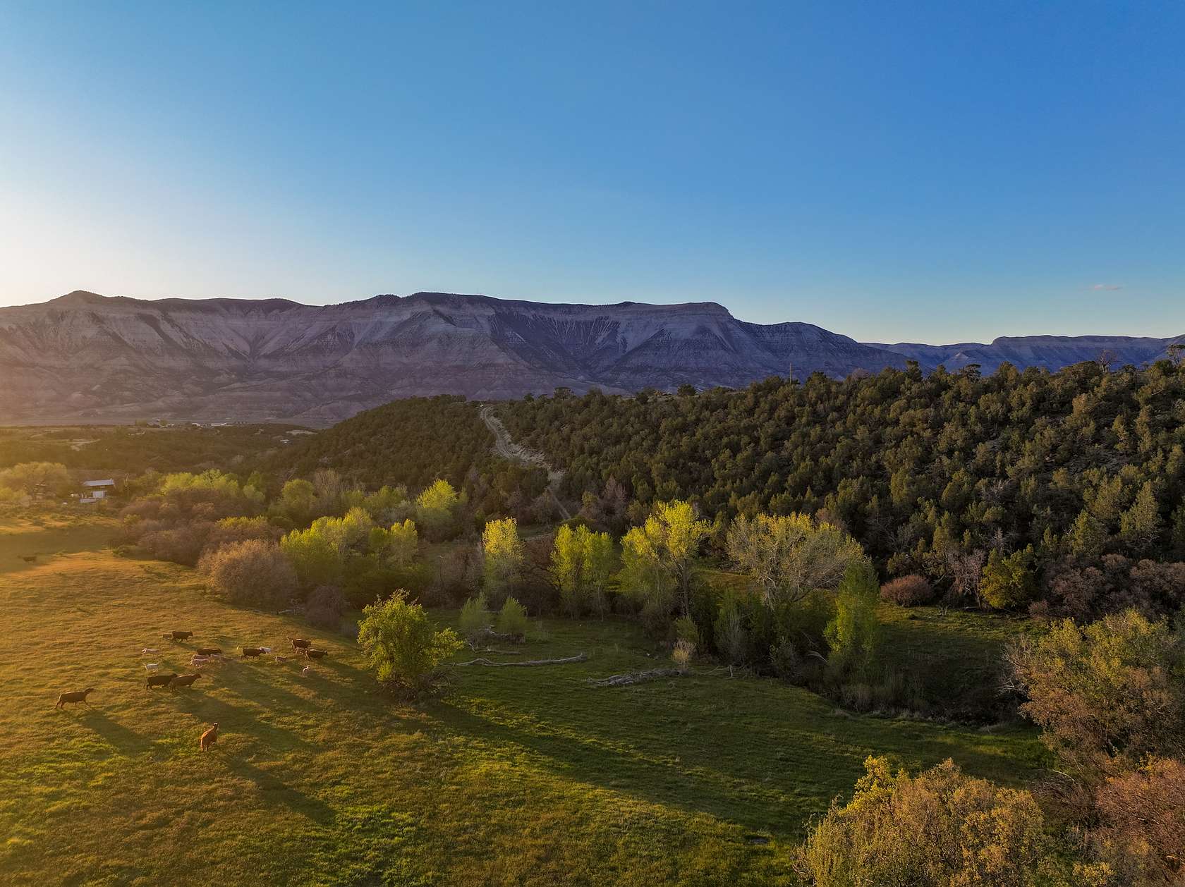 80 Acres of Land for Sale in Parachute, Colorado