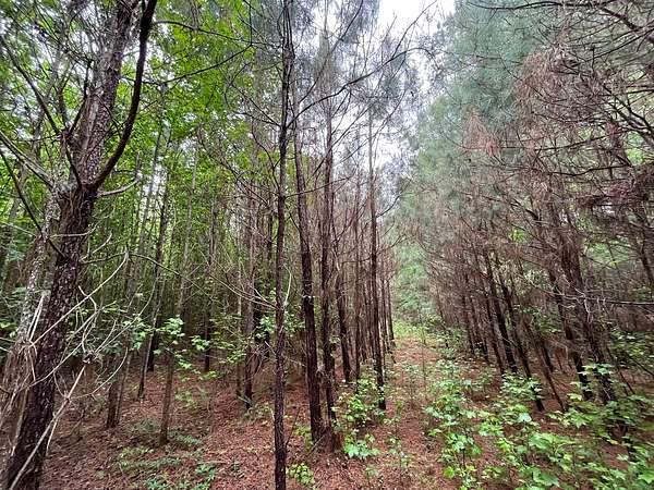 8.36 Acres of Land for Sale in Marietta, Mississippi