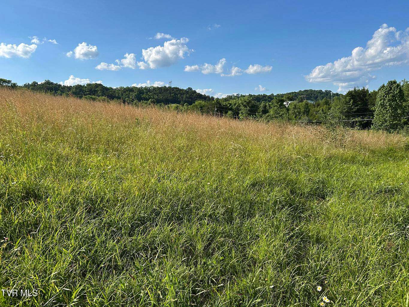 4.5 Acres of Agricultural Land for Sale in Rogersville, Tennessee