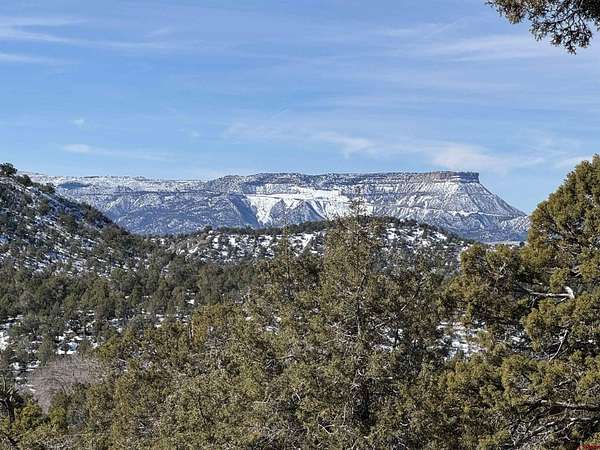 4 Acres of Agricultural Land for Sale in Mancos, Colorado