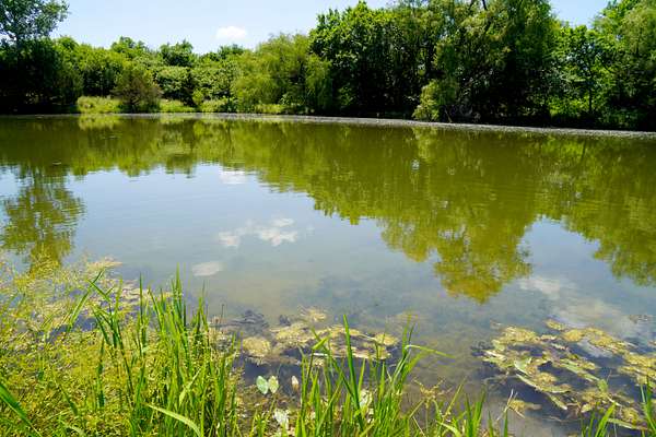 30 Acres of Land for Sale in Agra, Oklahoma