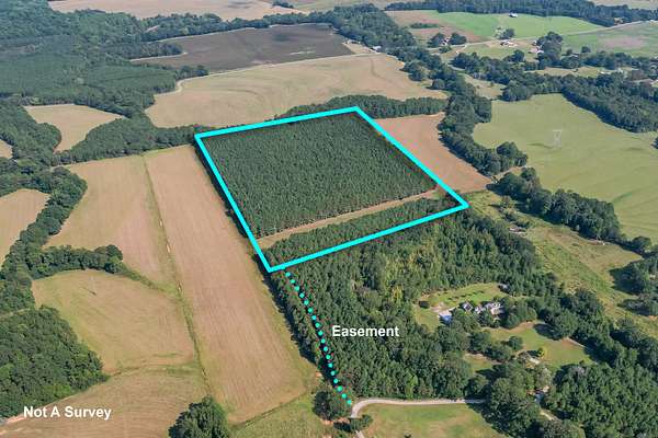 25.3 Acres of Land for Sale in Dennis, Mississippi