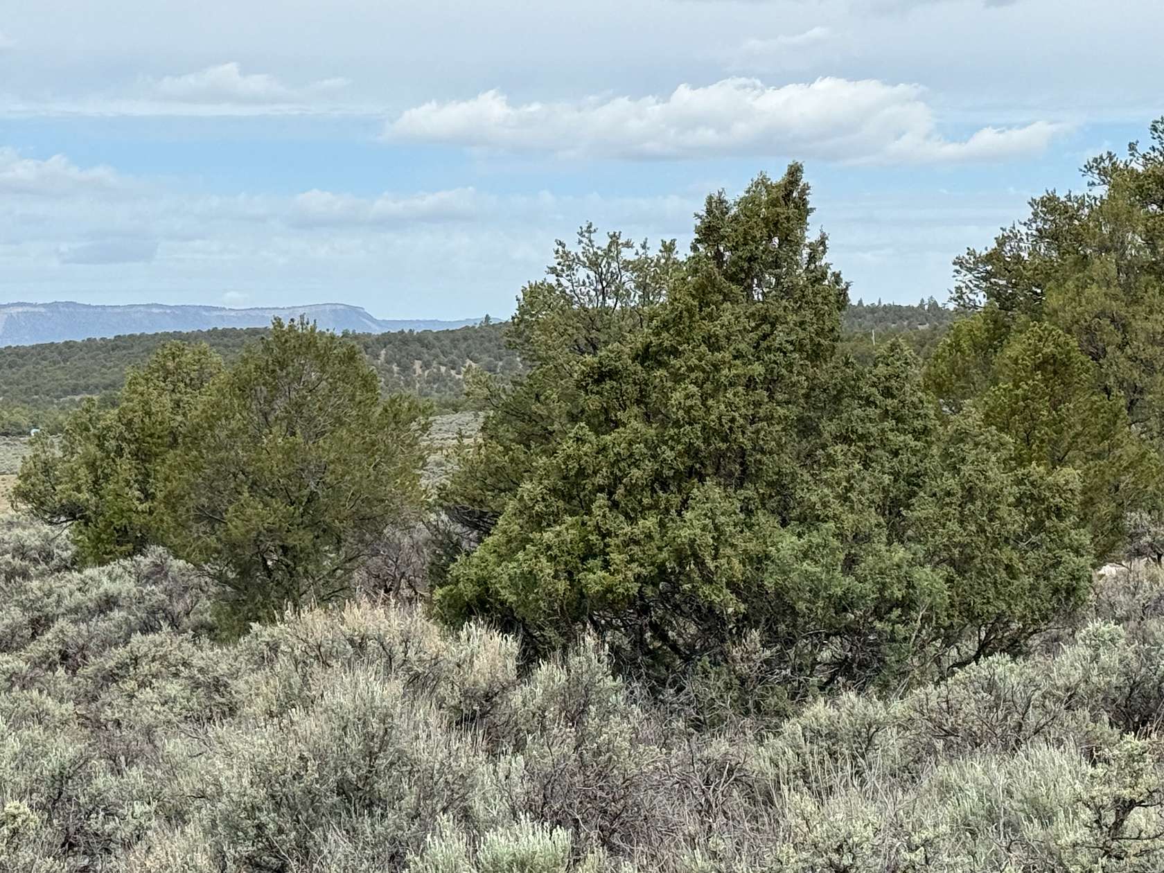 5 Acres of Agricultural Land for Sale in Tierra Amarilla, New Mexico