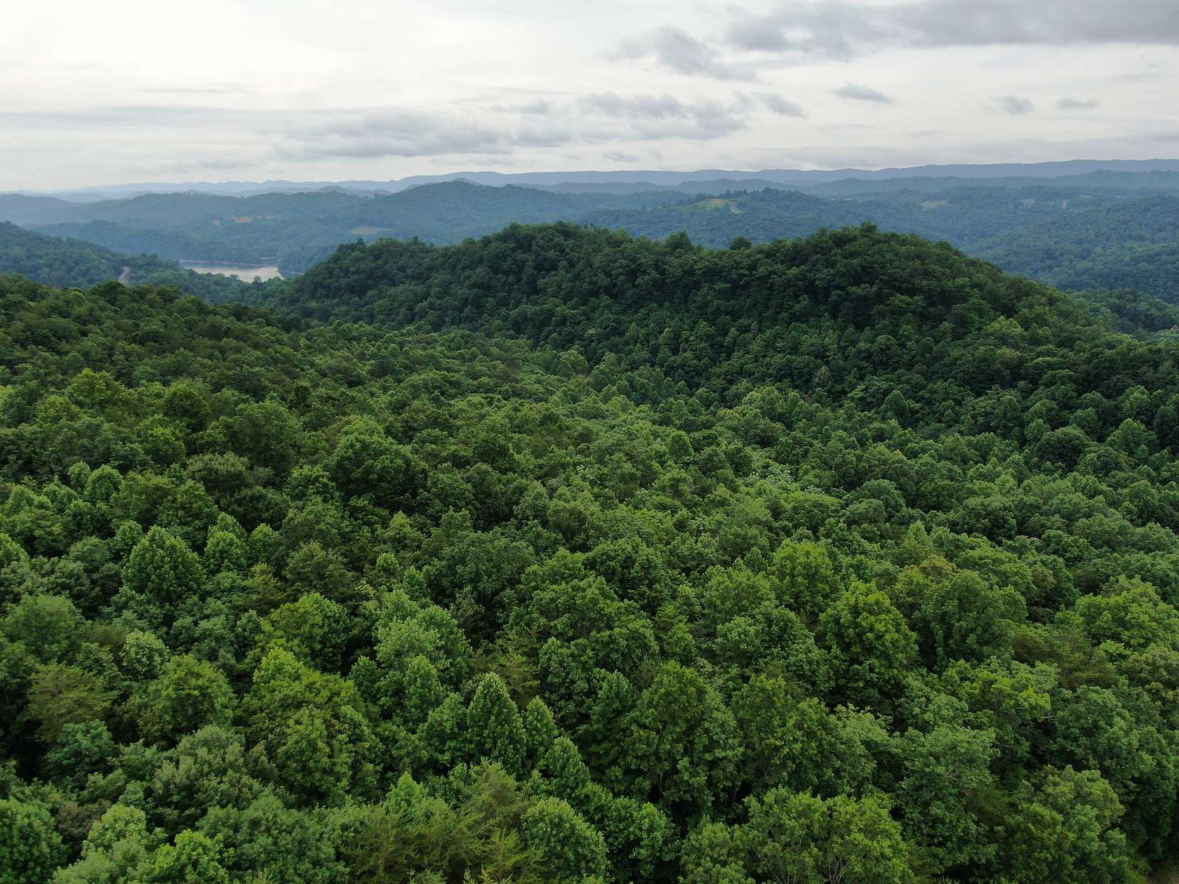 3.4 Acres of Land for Auction in New Tazewell, Tennessee