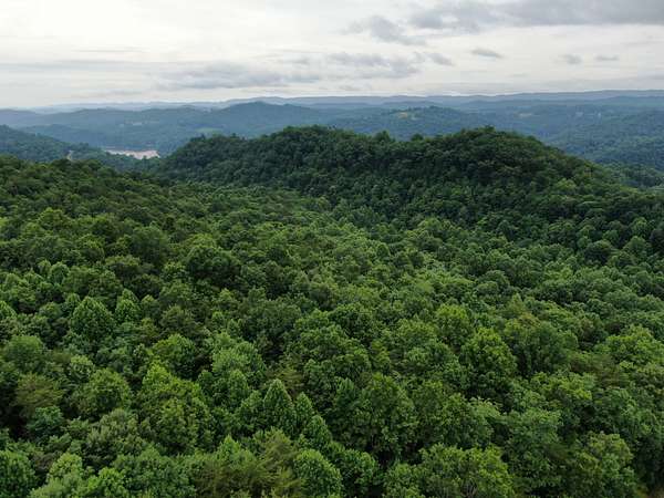 3.4 Acres of Land for Auction in New Tazewell, Tennessee