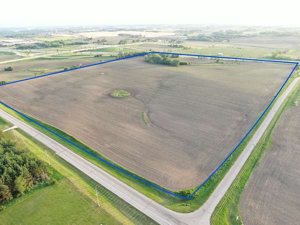 81.8 Acres of Land for Sale in Oronoco, Minnesota