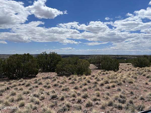 1 Acre of Residential Land for Sale in Concho, Arizona