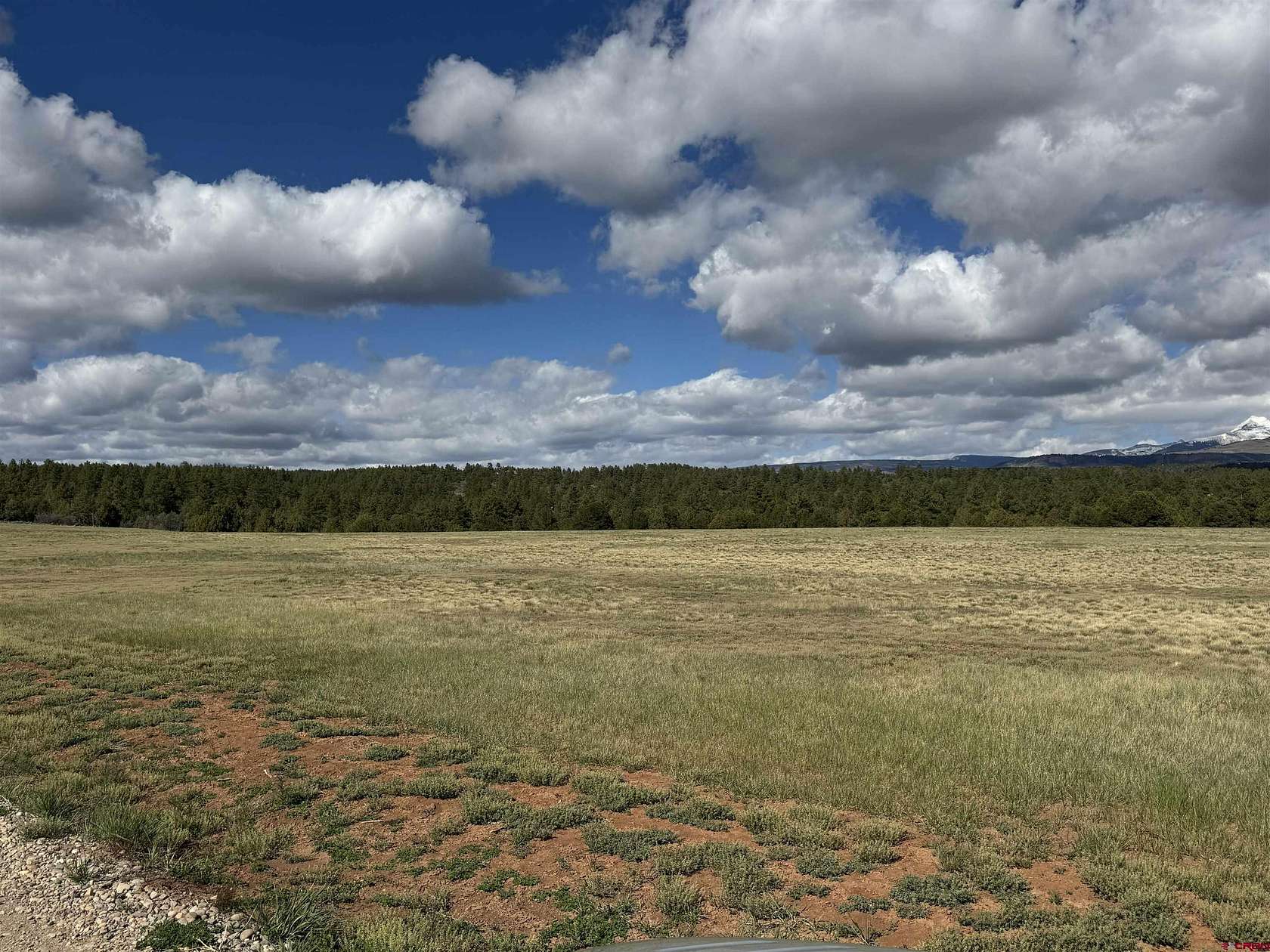 37.7 Acres of Land for Sale in Mancos, Colorado