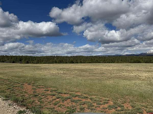 37.7 Acres of Land for Sale in Mancos, Colorado
