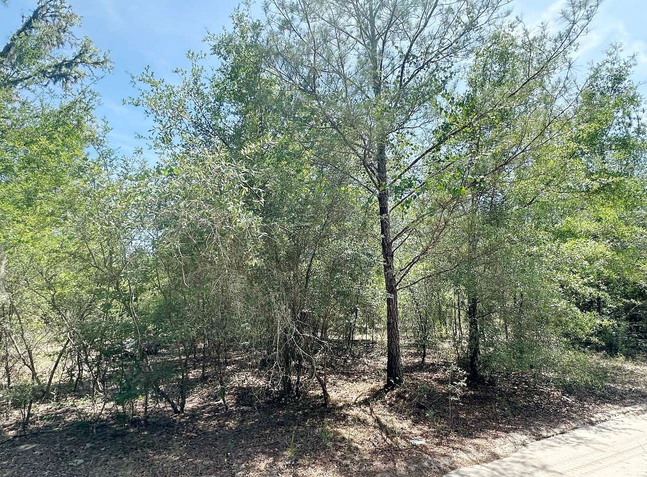 1.25 Acres of Residential Land for Sale in Bronson, Florida