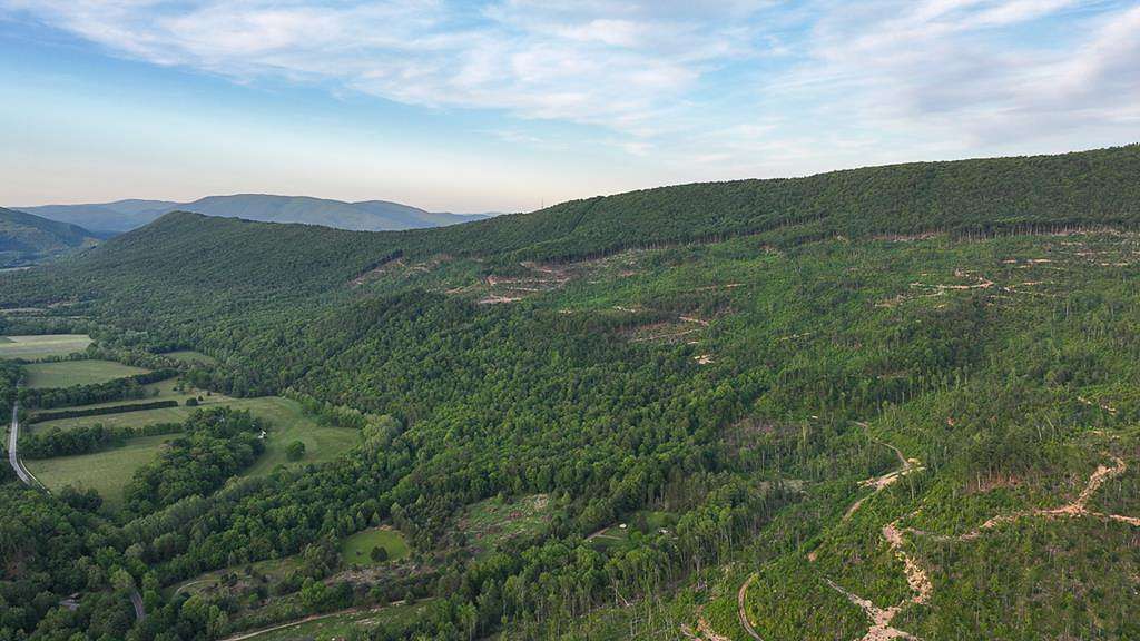 910 Acres of Land for Sale in Covington, Virginia