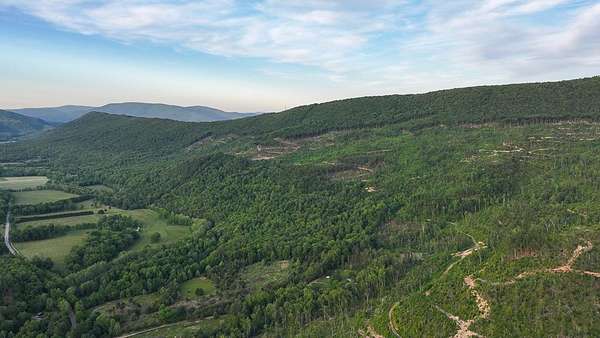 910 Acres of Land for Sale in Covington, Virginia