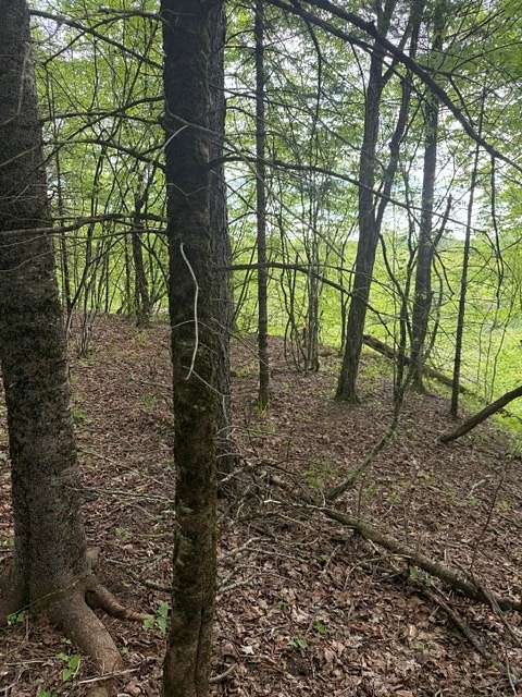 81.8 Acres of Land for Sale in Ohio, New York