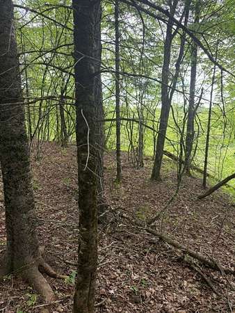81.8 Acres of Land for Sale in Ohio, New York