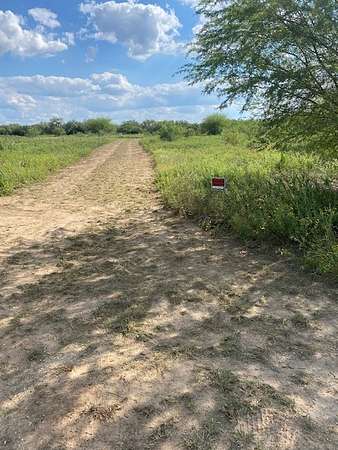 19.5 Acres of Land for Sale in Falfurrias, Texas