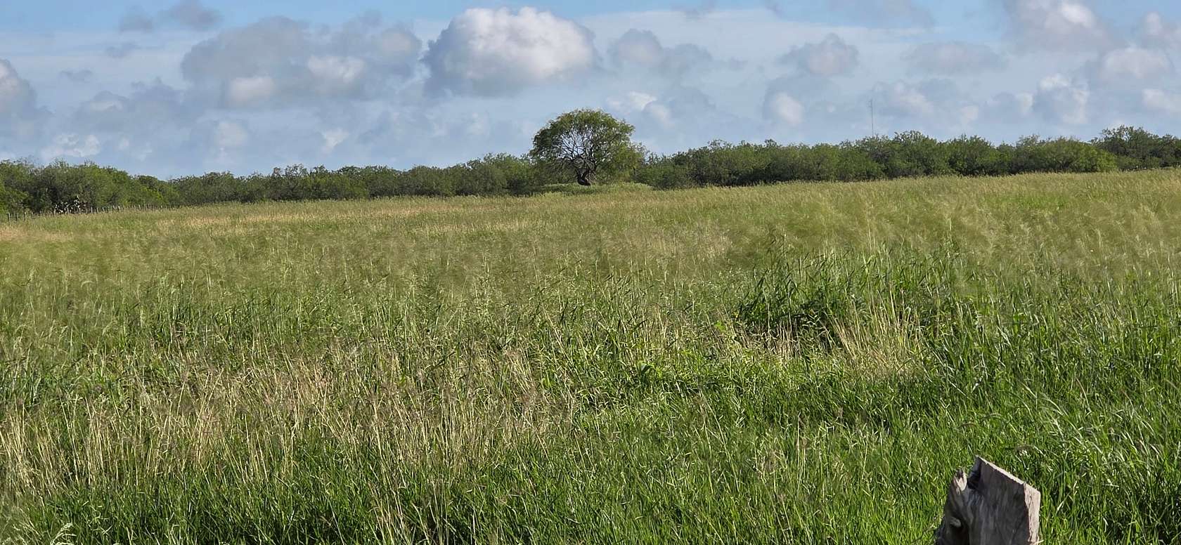 40.6 Acres of Land for Sale in La Gloria, Texas
