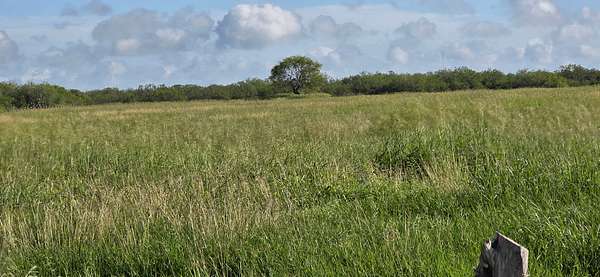 40.6 Acres of Land for Sale in La Gloria, Texas