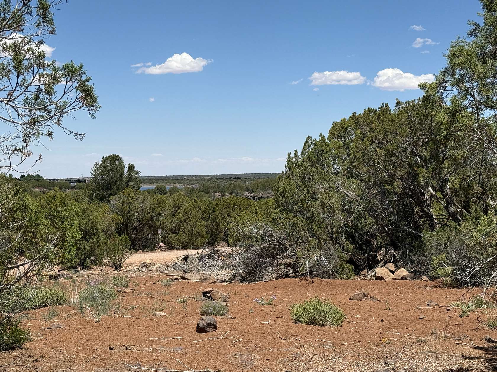 0.26 Acres of Residential Land for Sale in Show Low, Arizona
