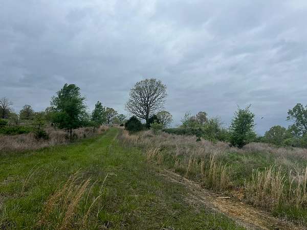 250 Acres of Land for Sale in Thornfield, Missouri