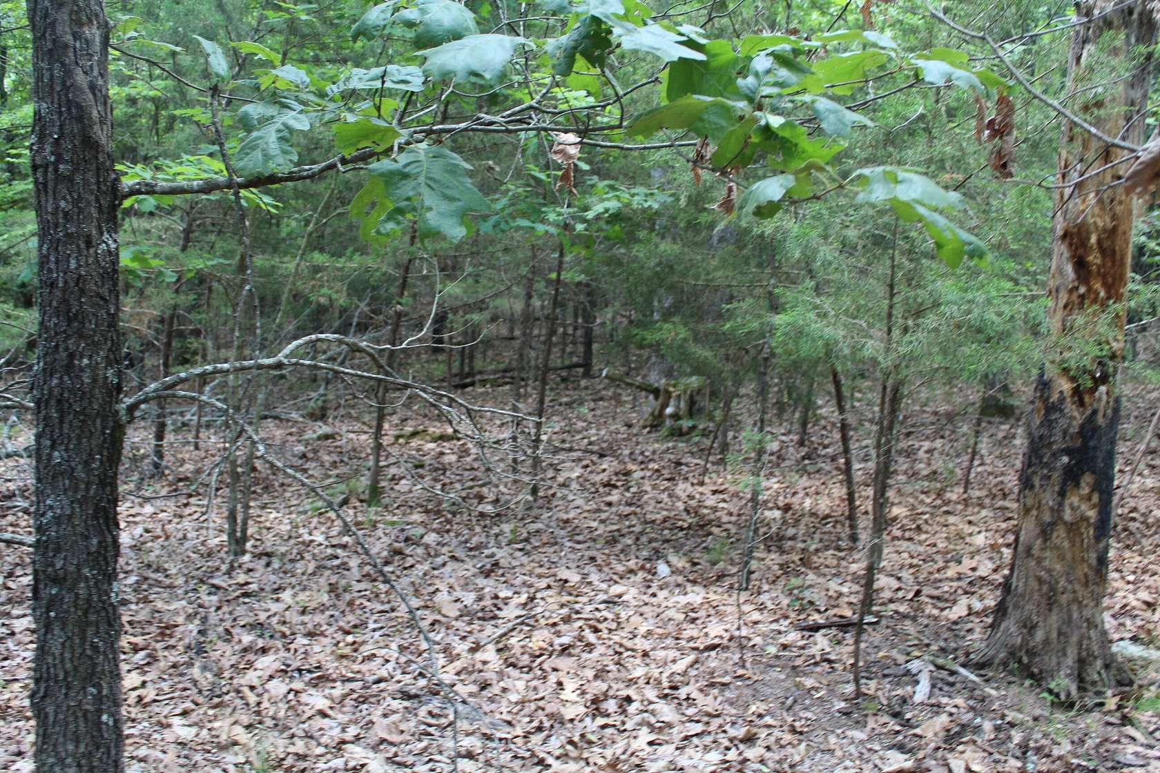 0.22 Acres of Residential Land for Sale in Theodosia, Missouri