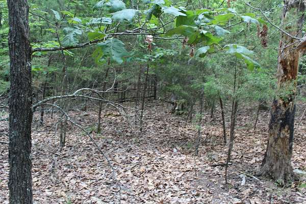 0.22 Acres of Residential Land for Sale in Theodosia, Missouri