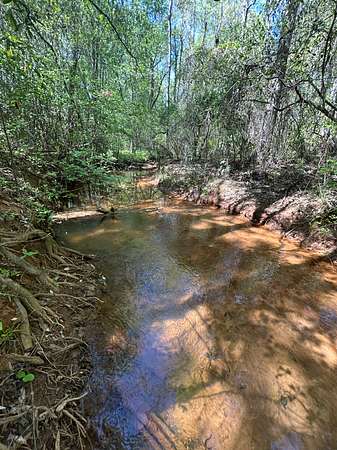 82 Acres of Land for Sale in Plantersville, Alabama