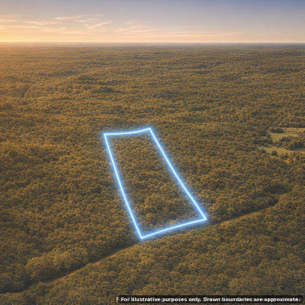 46.1 Acres of Land for Sale in Salem, Missouri