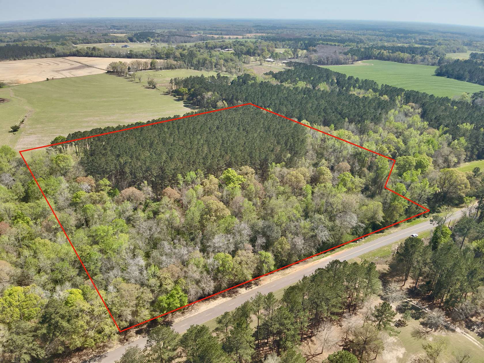 13.9 Acres of Land for Sale in Cottonwood, Alabama