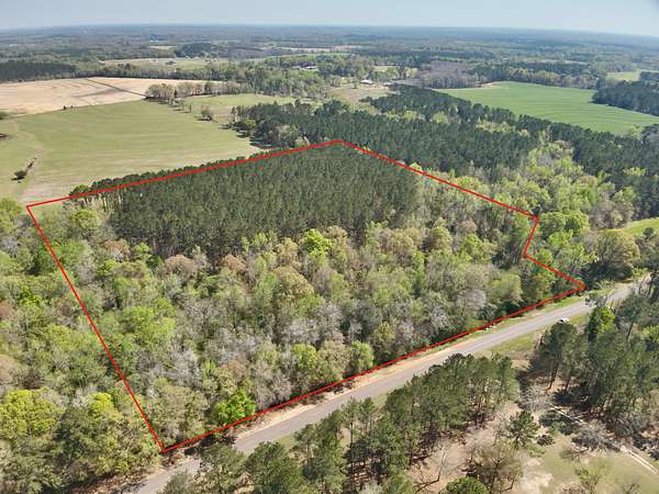 13.9 Acres of Land for Sale in Cottonwood, Alabama