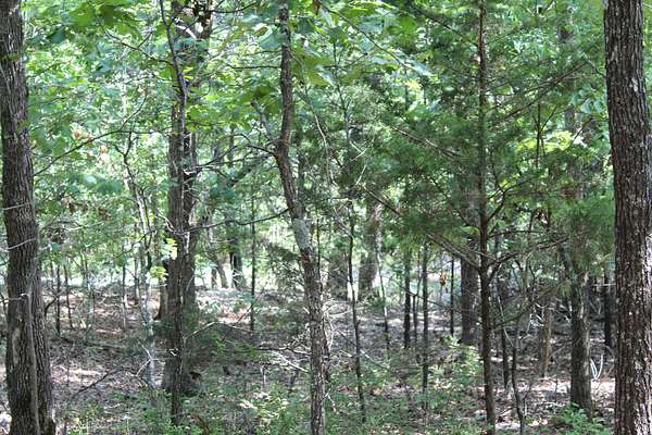 0.21 Acres of Residential Land for Sale in Theodosia, Missouri
