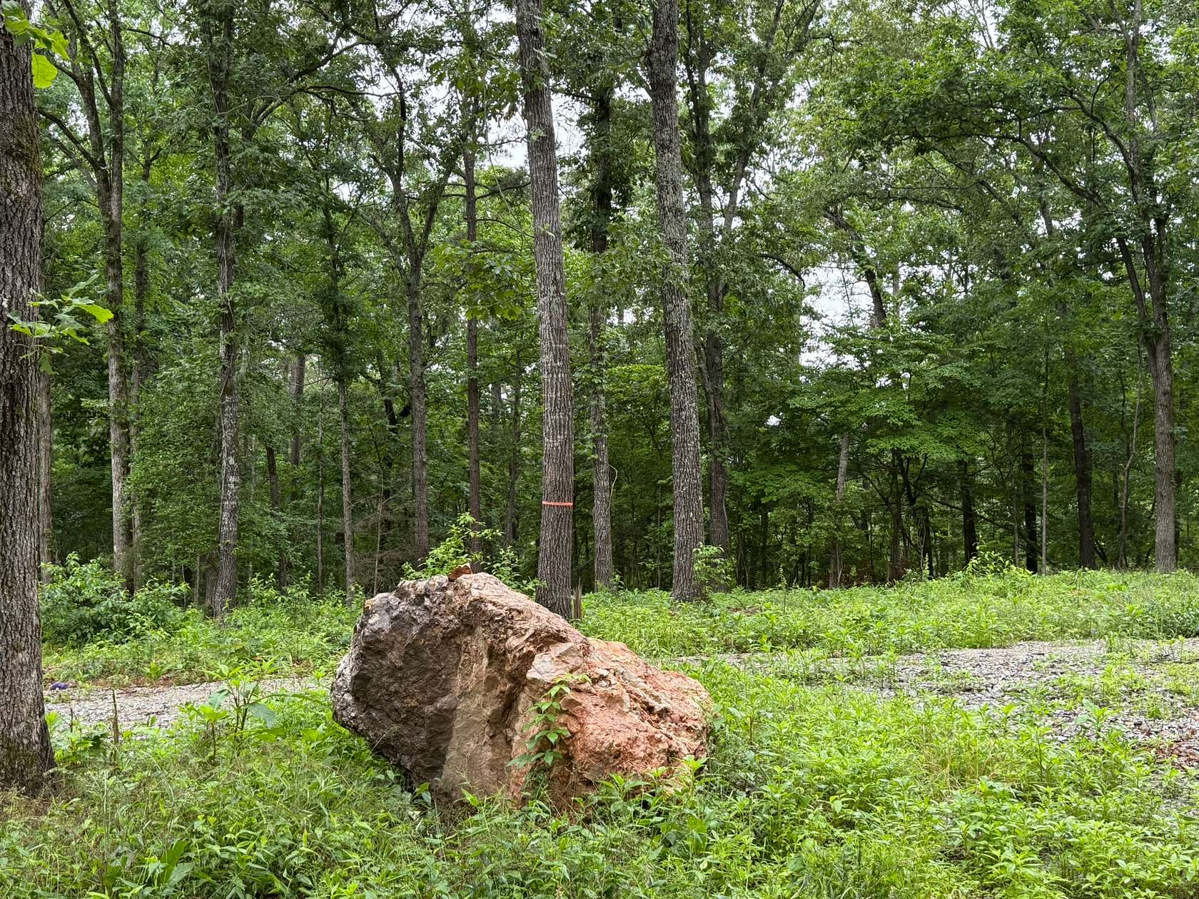 20 Acres of Land for Sale in Norfork, Arkansas