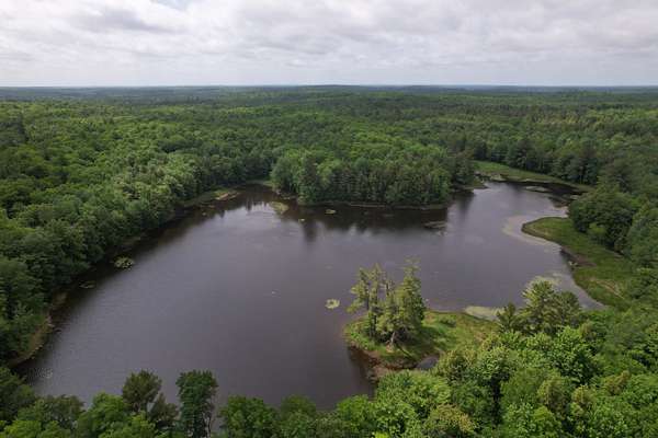 40 Acres of Land for Sale in Glidden, Wisconsin
