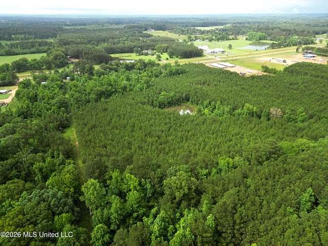 15 Acres of Land for Sale in Brookhaven, Mississippi