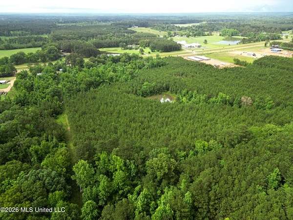 15 Acres of Land for Sale in Brookhaven, Mississippi