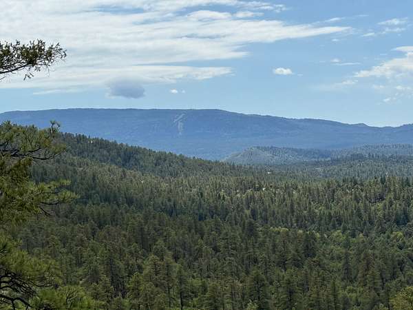 9 Acres of Land for Sale in Chama, New Mexico