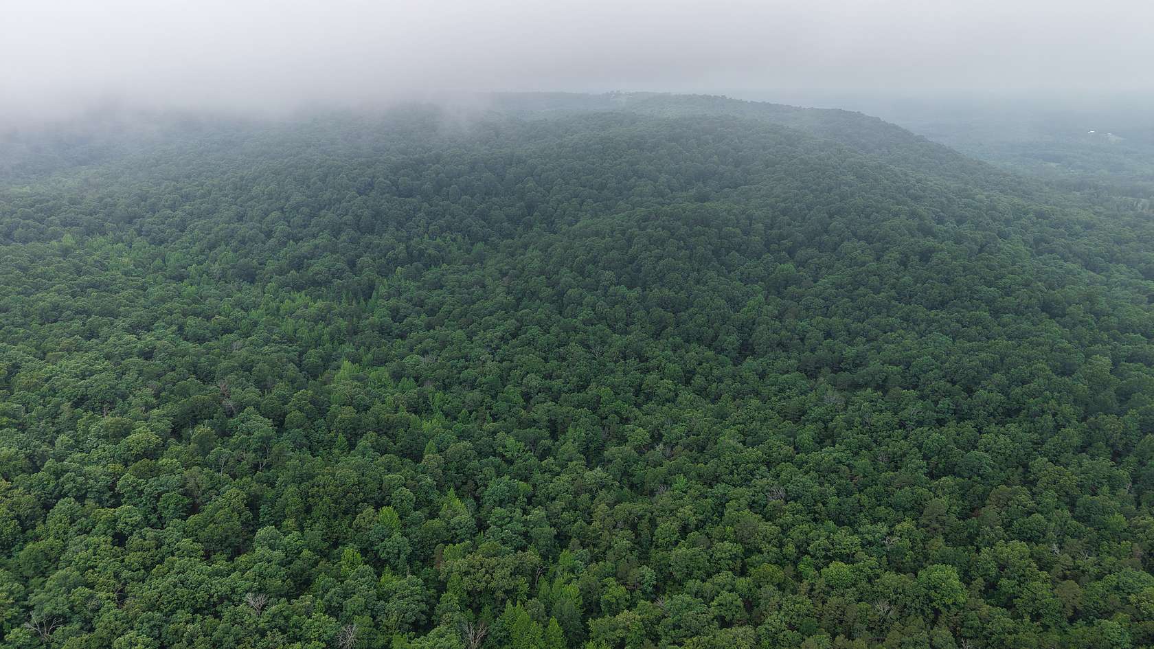 121 Acres of Land for Sale in Melbourne, Arkansas