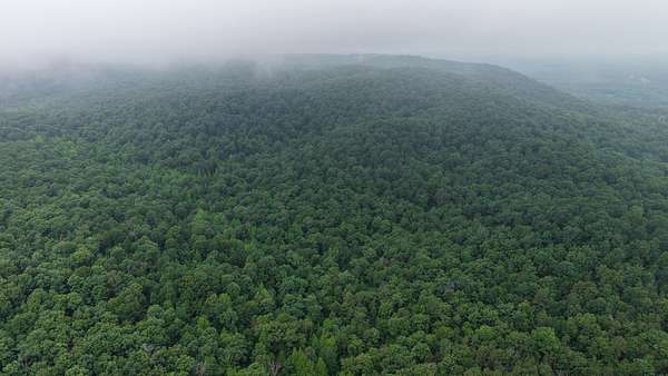 121 Acres of Land for Sale in Melbourne, Arkansas