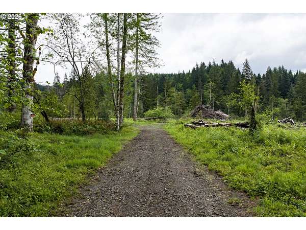 58 Acres of Land for Sale in Washougal, Washington